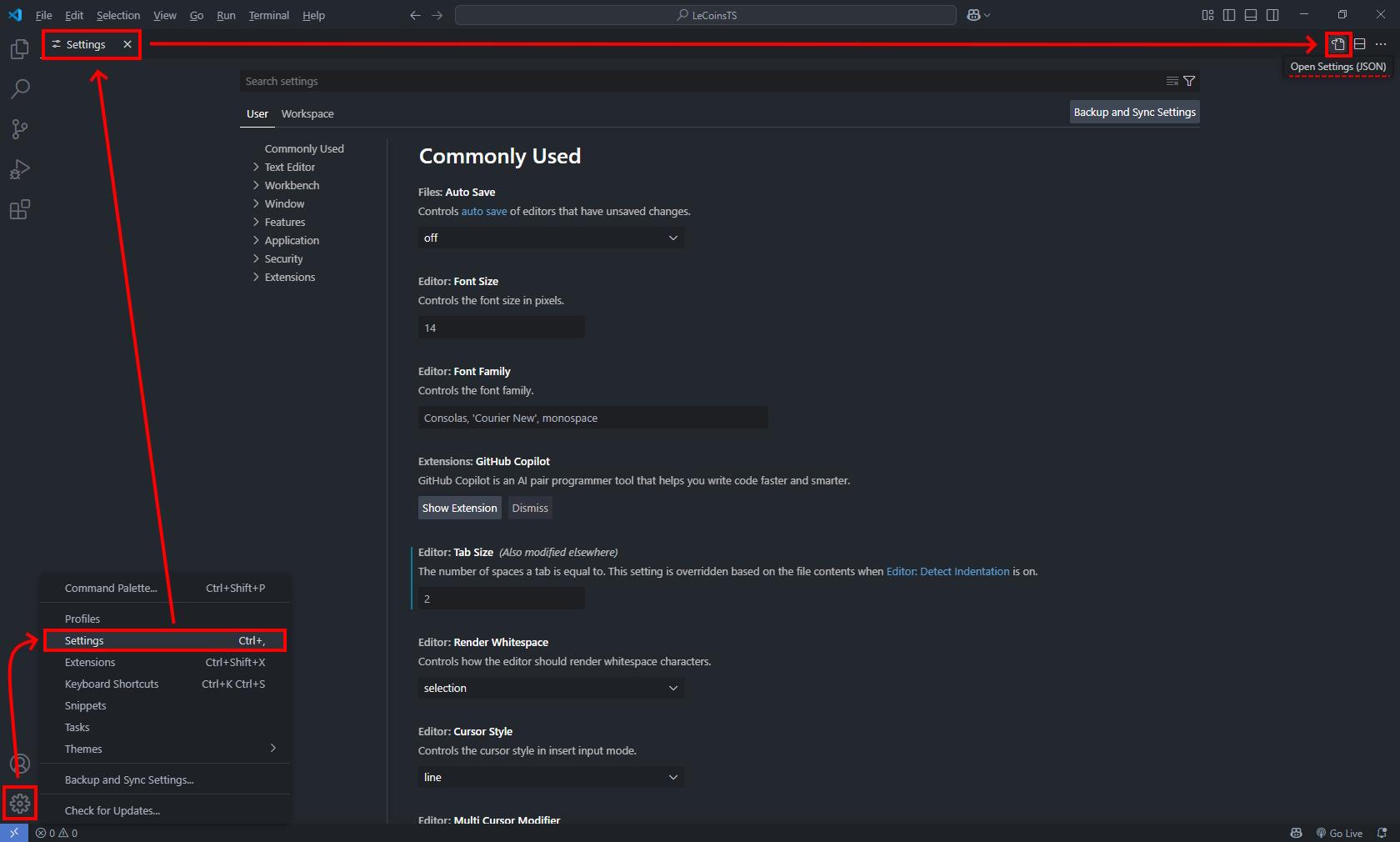 Accès settings vscode depuis menu paramètres, avec icone pour ouvrir settings.json ensuite, afin de pouvoir accéder au détail de la configuration