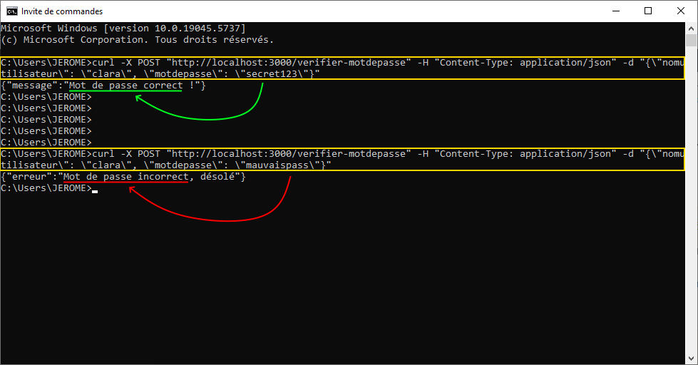 Curl vérification mot de passe via API NodeJS écrite en TS, tests sous terminal Windows cmd pour apprendre TypeScript avec exemples de requêtes