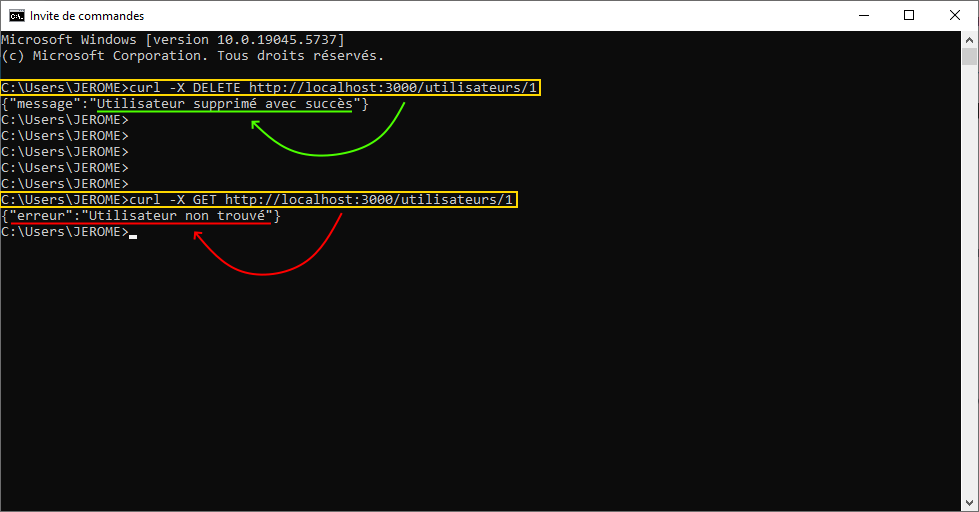 Exemple suppression données via API REST SQLite, accès CURL sous terminal cmd, test routes DELETE et GET pour vérifier la suppression, apprentissage NodeJS