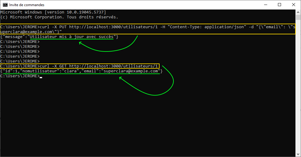 Update BDD SQLite via API REST NodeJS TypeScript, exemple commande en ligne CURL depuis terminal Windows cmd, pour apprendre TS